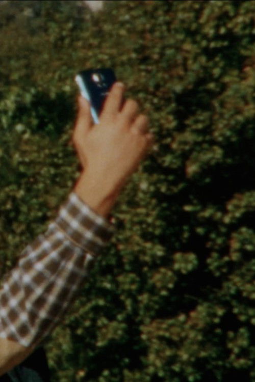 Cellular Immune Response (2018) poster