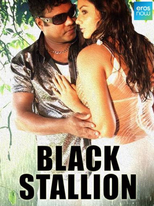 Black Stallion (2010) poster