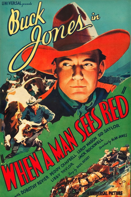 When a Man Sees Red (1934) poster
