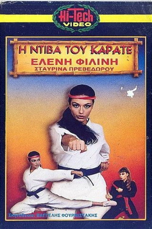 Η ντίβα του καράτε (1987) poster