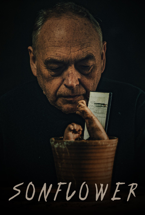 Sonflower (2023) poster