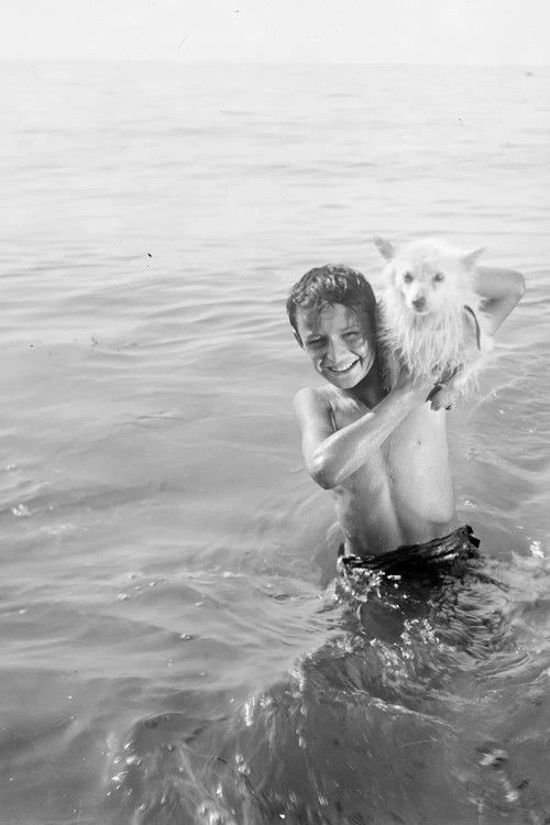 პირველი დღე (1936) poster