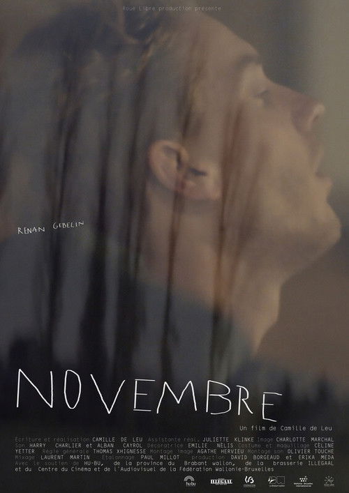 November (2020) poster