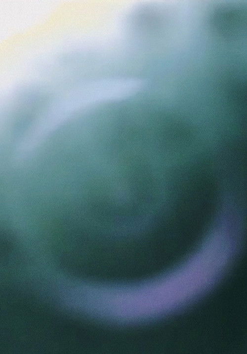 Endeavour (2011) poster