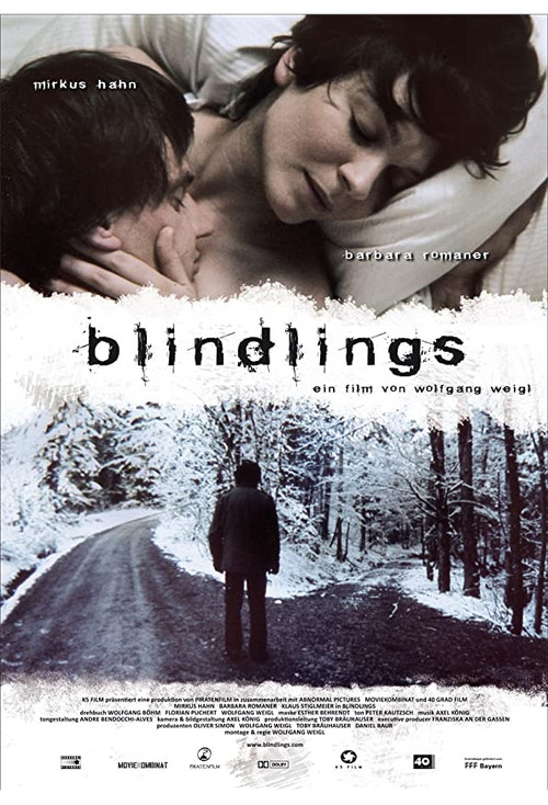 Blind Spot (2009) poster