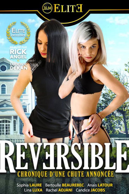 Reversible (2020) poster