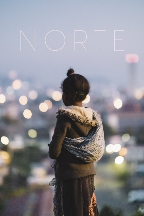 Norte (2020) poster