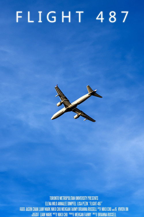 Flight 487 poster