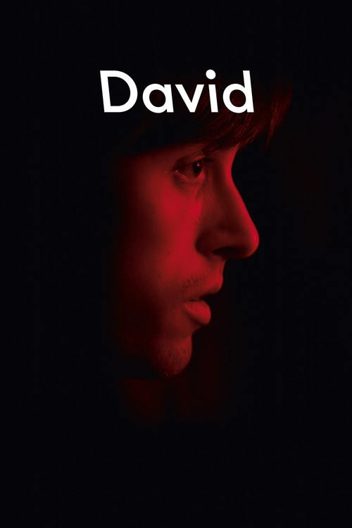 David (2015) poster