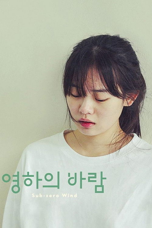 영하의 바람 (2019) poster