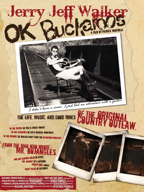 OK Buckaroos (2010) poster