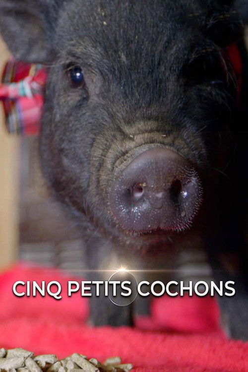 Cinq petits cochons (2016) poster