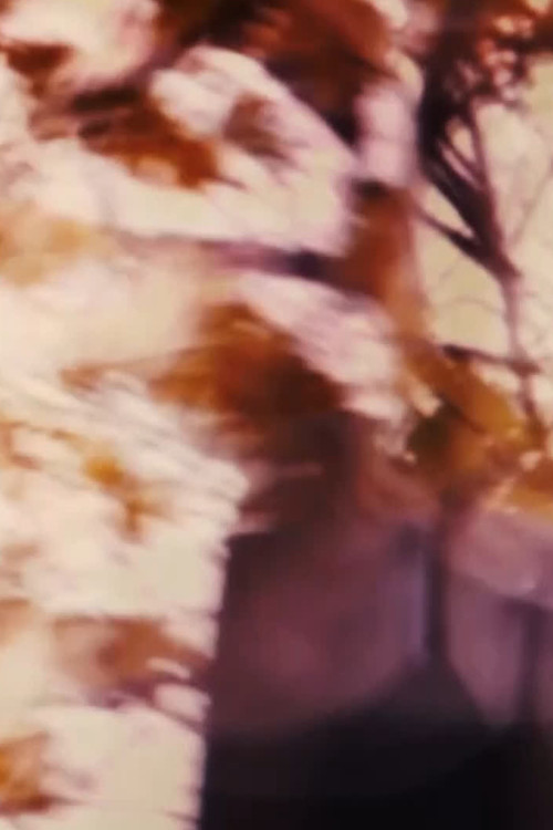 The Driveways of People's Houses (2021) poster