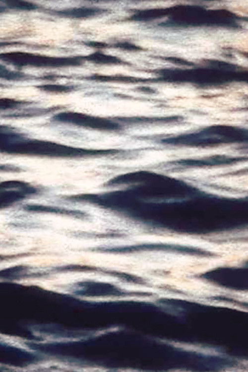 Bleierne Wellen (2006) poster