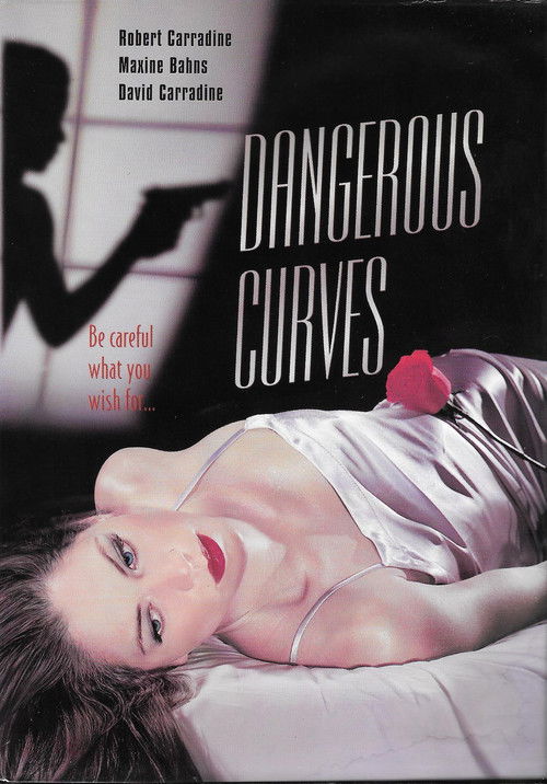 Dangerous Curves (2000) poster