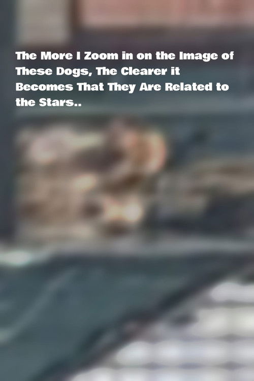 The More I Zoom in on the Image of These Dogs, The Clearer it Becomes That They Are Related to the Stars. (2025) poster