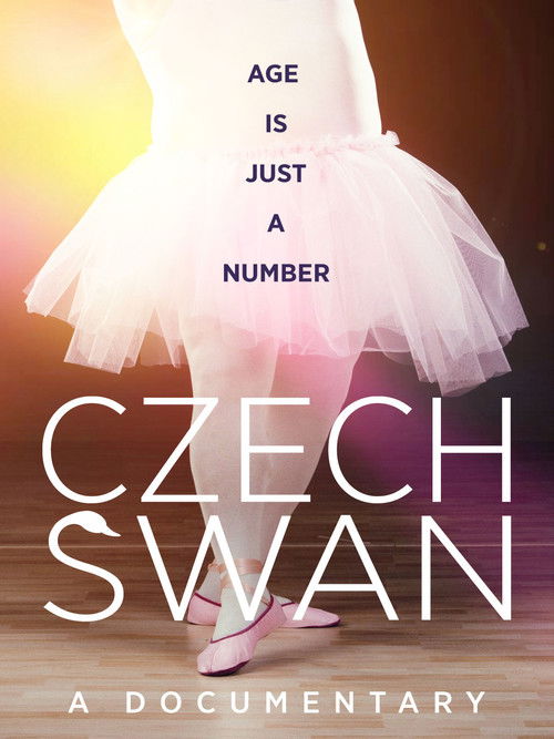Czech Swan (2016) poster