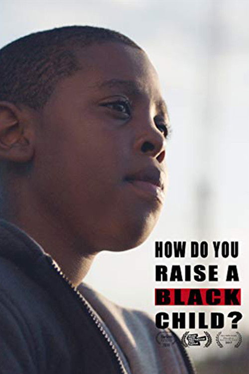 How Do You Raise a Black Child? (2016) poster