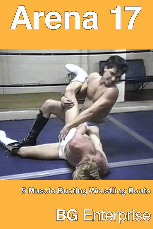 Arena 17 (2012) poster