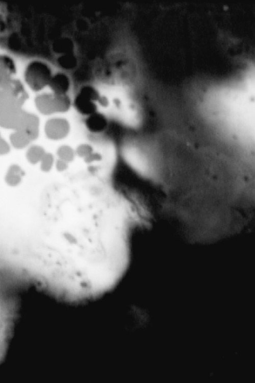 Digression/Degression (2009) poster