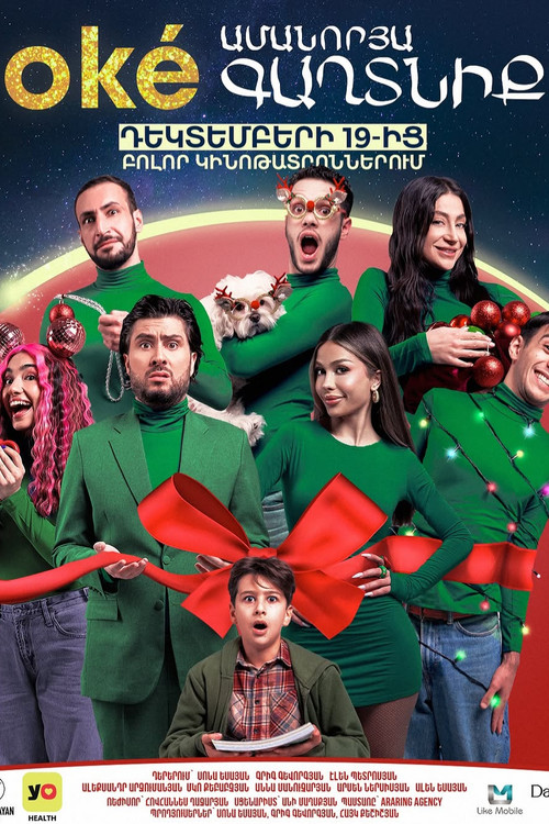 Oké Ամանորյա Գաղտնիք (2024) poster