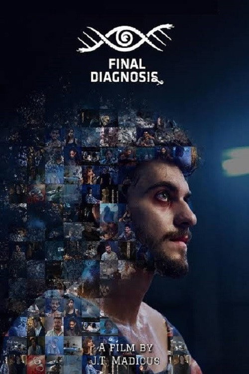Final Diagnosis: No Second Chances (2025) poster