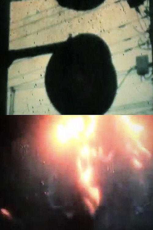 VOICE REMASTER poster