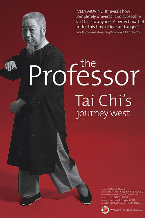 The Professor: Tai Chi's Journey West (2016) poster