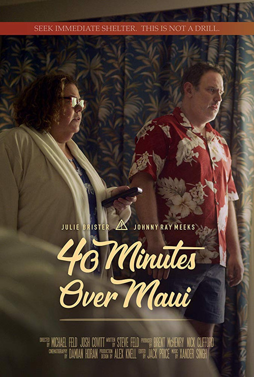 40 Minutes Over Maui (2019) poster