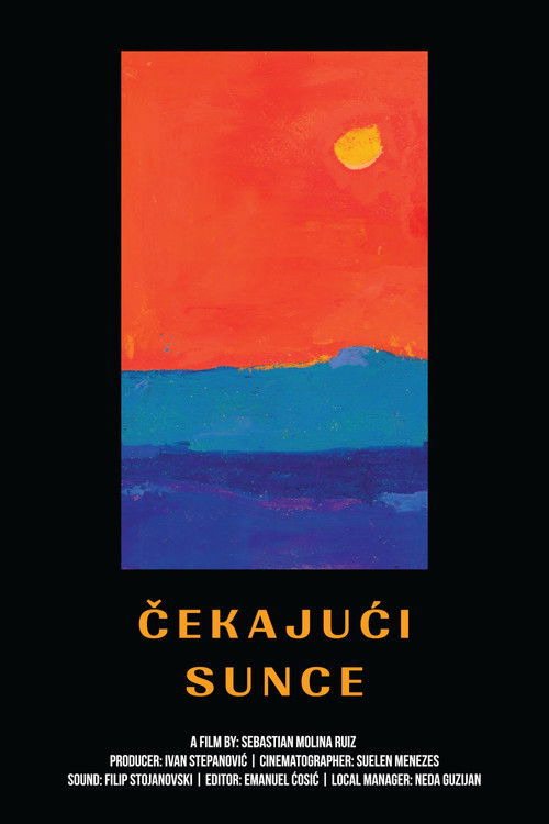 Waiting For The Sun poster