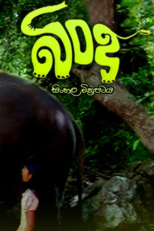 Bindu (2009) poster