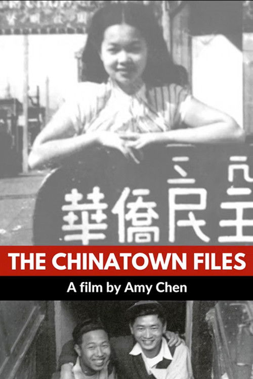 The Chinatown Files (2001) poster