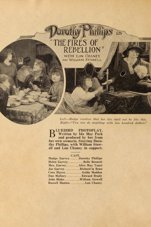Fires of Rebellion (1917) poster