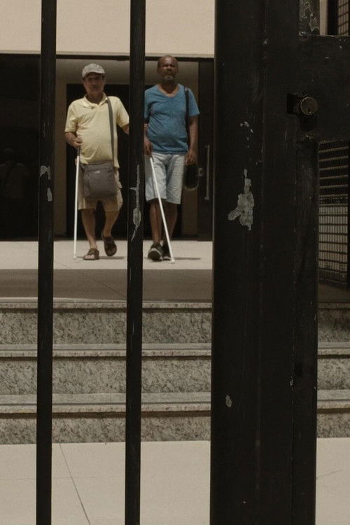 Not Enough for the Love Inside (2024) poster