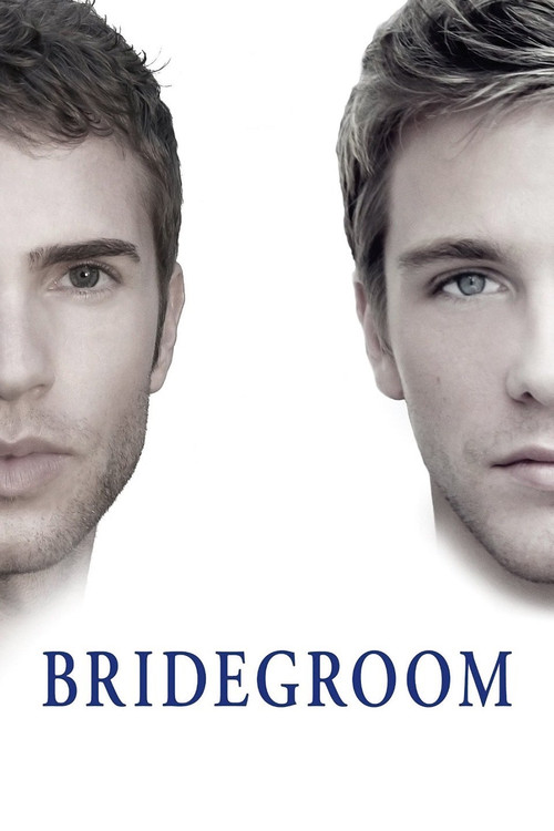 Bridegroom (2013) poster