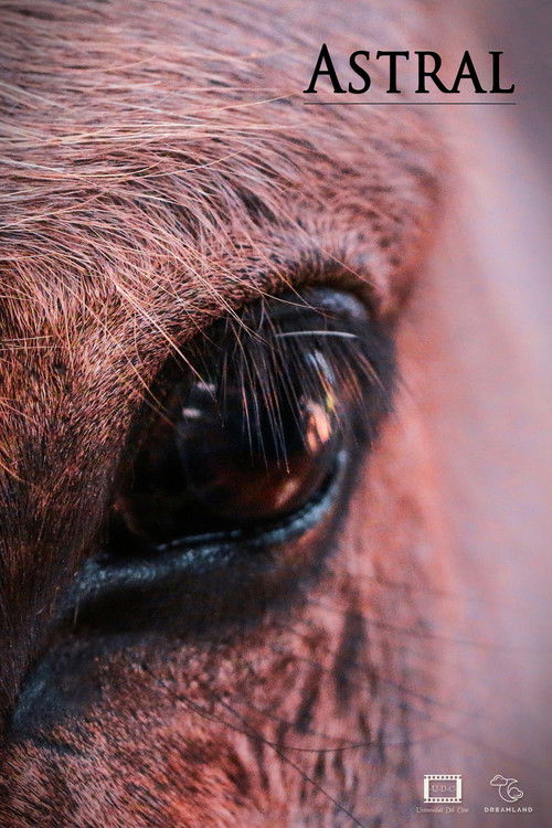 Astral (2002) poster