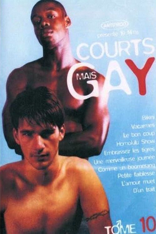 Courts mais Gay : Tome 10 (2005) poster