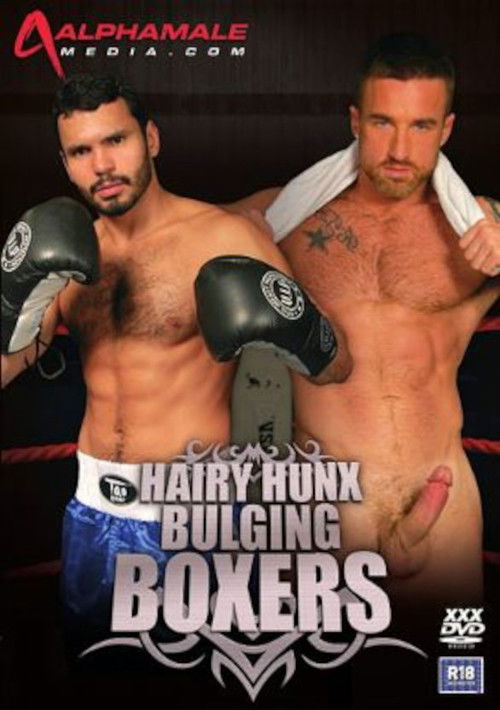 Hairy Hunx: Bulging Boxers (2009) poster