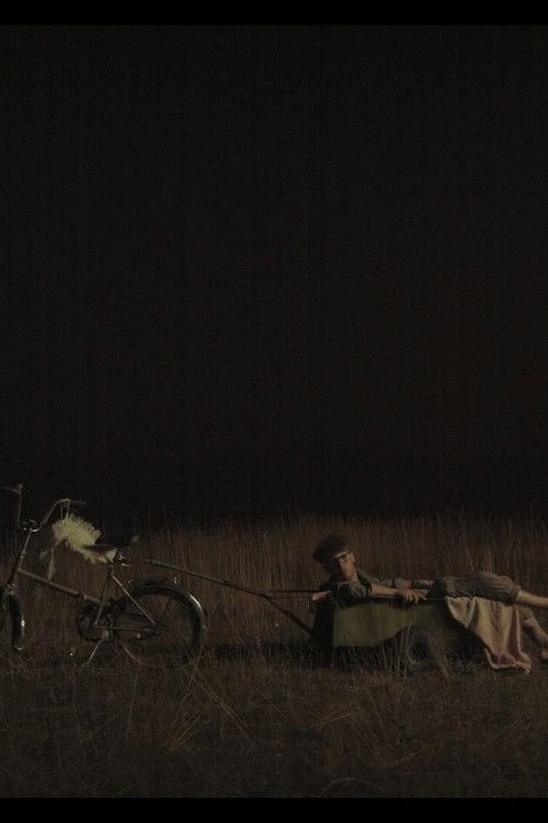 Bátyám, Dodo (2024) poster