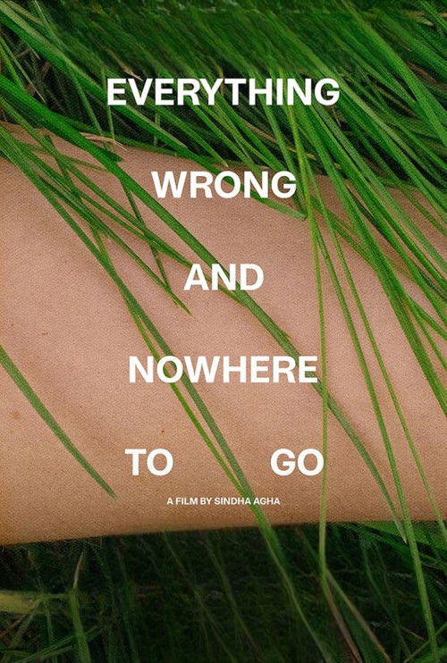 Everything Wrong and Nowhere to Go (2022) poster