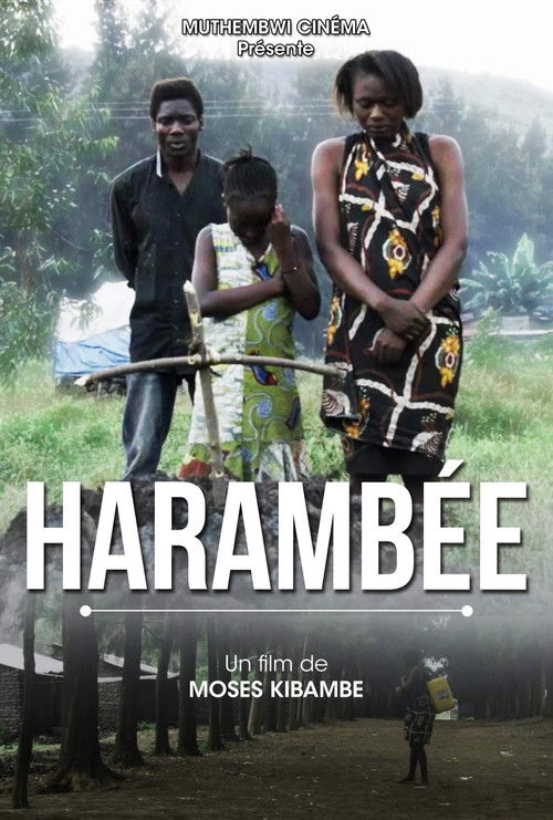 HARAMBÉE poster