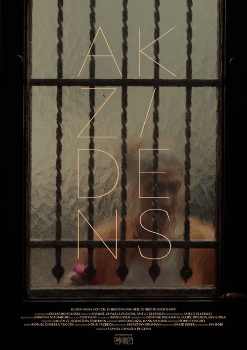 Accident (2025) poster