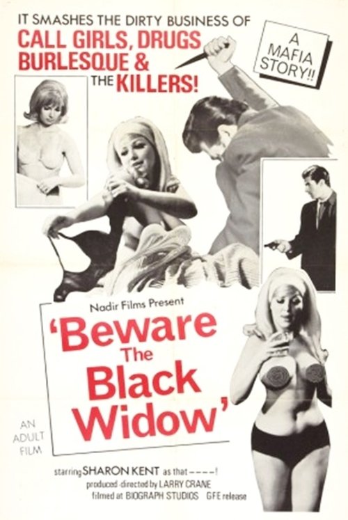 Beware the Black Widow (1968) poster