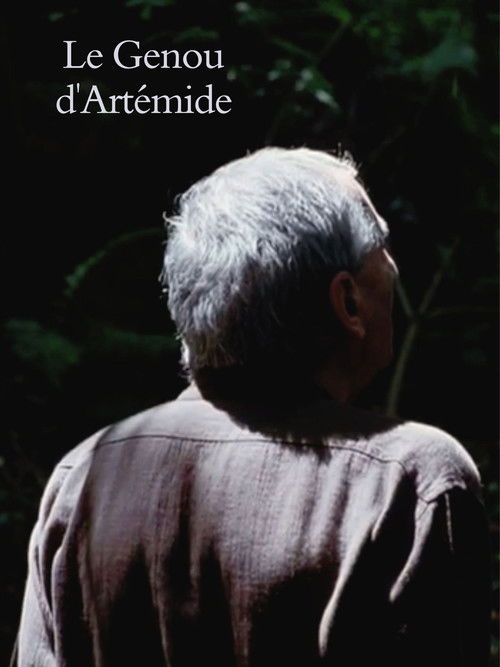 Le Genou d'Artémide (2008) poster