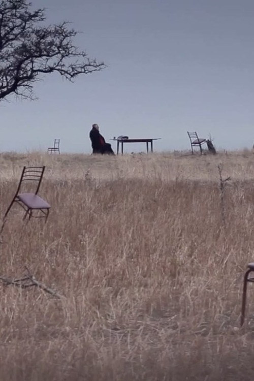 The Silent Bird (2015) poster