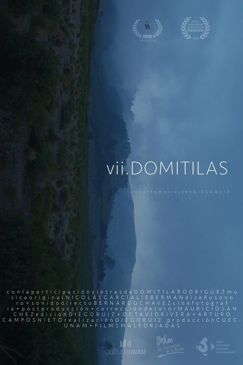 VII Domitilas (2020) poster