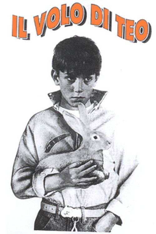Il volo di Teo (1990) poster
