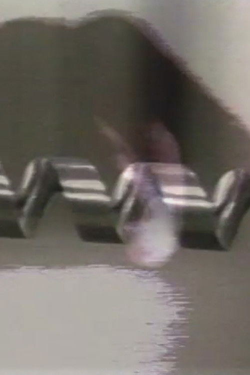 My TV Dictionary: The Drill (1986) poster