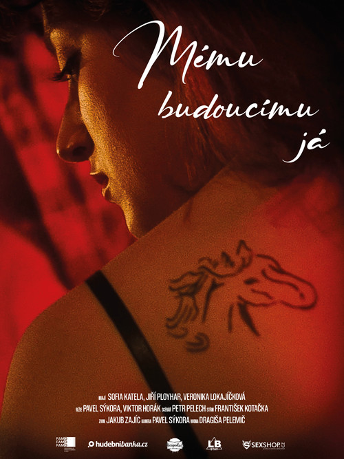 Mému budoucímu já poster