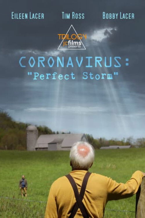 Coronavirus: Perfect Storm (2020) poster